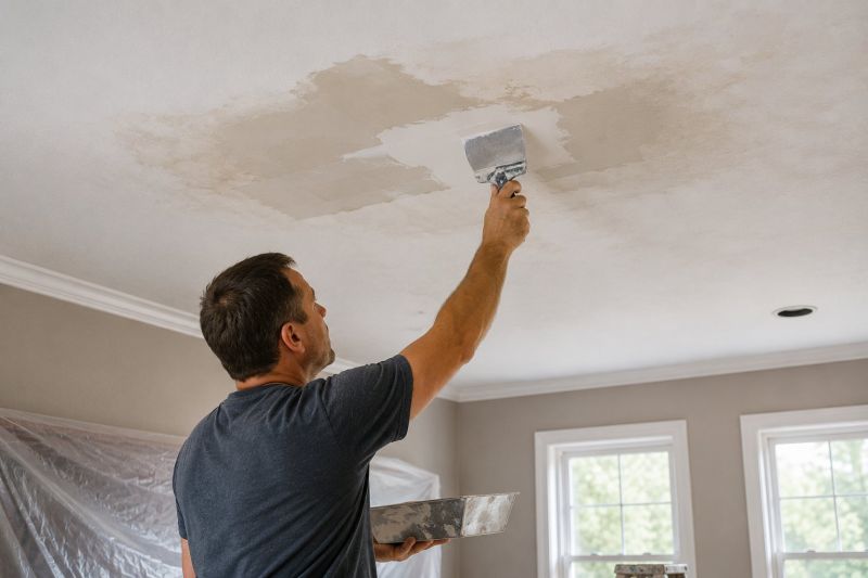 Attic Water Damage Repair in Summerville, SC